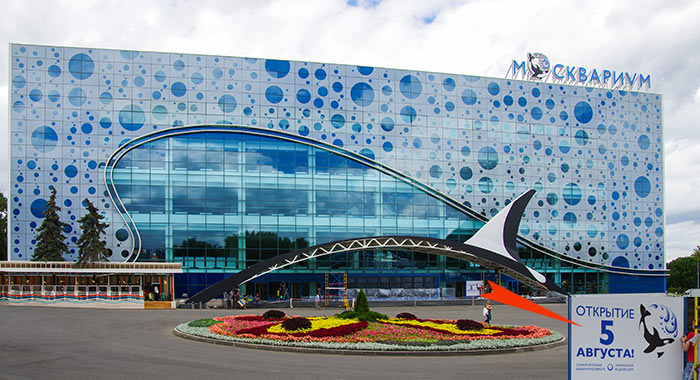 Более 82 тысяч человек посетили «Москвариум» на ВДНХ за пять дней