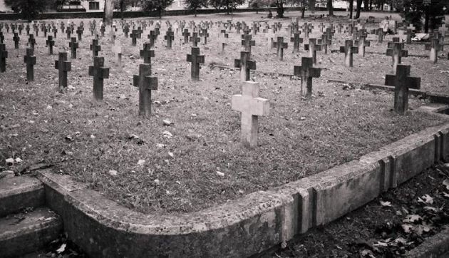 Польское воинское кладбище. Иллюстрация: static.panoramio.com