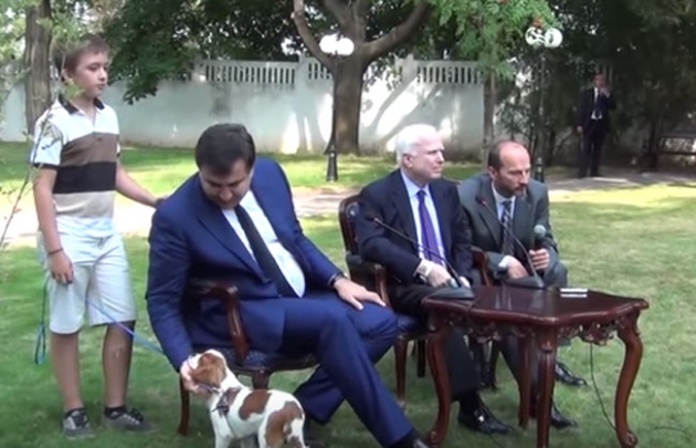 Пока Маккейн ругал Россию, Саакашвили играл с псом