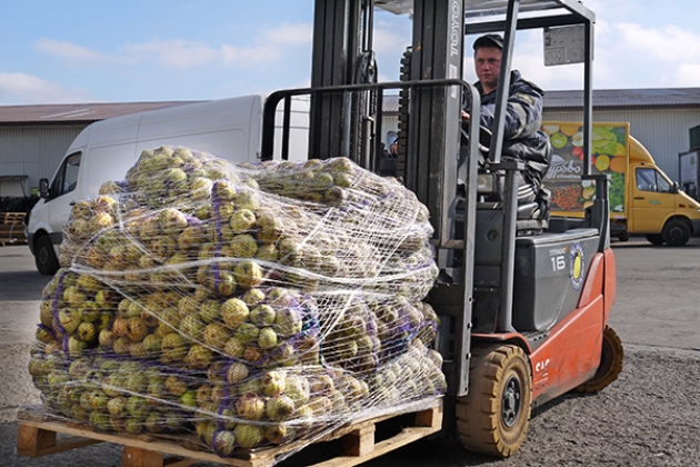 Калининградцы сдали 80 тонн яблок на импортозамещающий сок