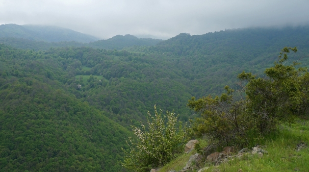 Нагорный Карабах