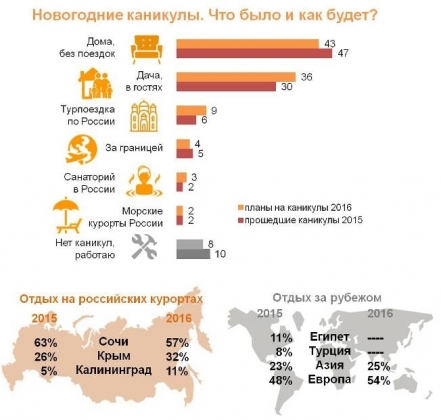 43% жителей России собираются провести новогодние каникулы дома: опрос