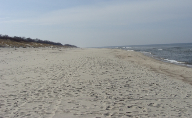На калининградском побережье Балтики построят 5 пляжей для инвалидов