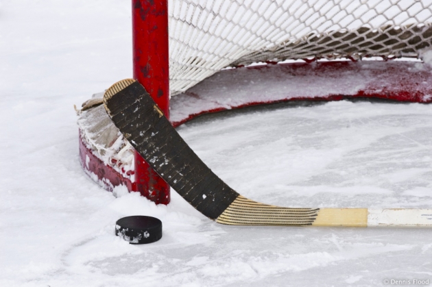 Хоккей: «Сибирь» увличивает отрыв от «Авангарда» и «Салавата Юлаева»