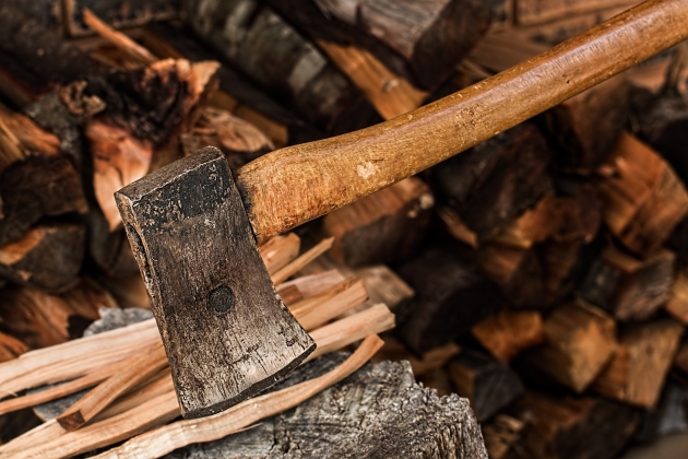 Псковские селяне — властям: «Живу в лесу, а дрова заготовить не могу»