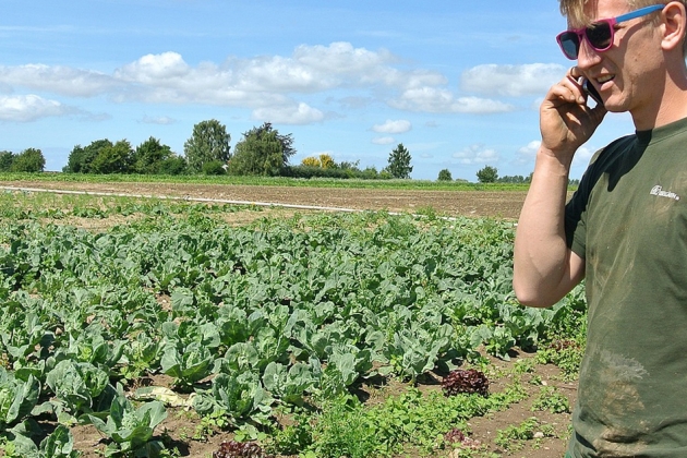 Очередное крупное фермерское хозяйство в Латвии выставлено на продажу