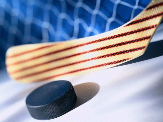 Ярославль сможет принять молодежный чемпионат мира по хоккею?