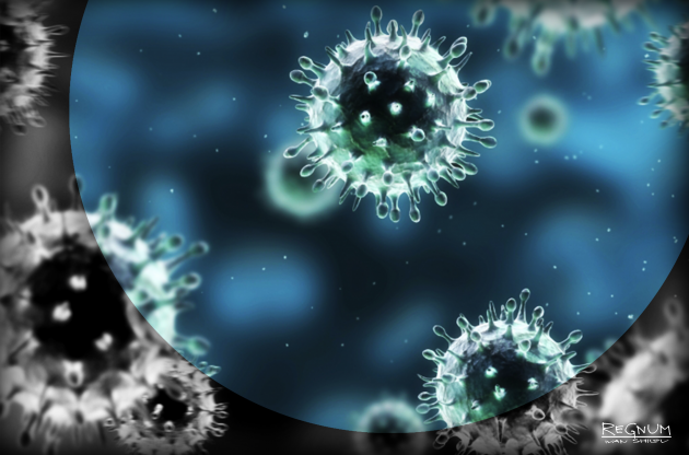 Медицинский ликбез: Видео для всех, кому угрожает свиной грипп