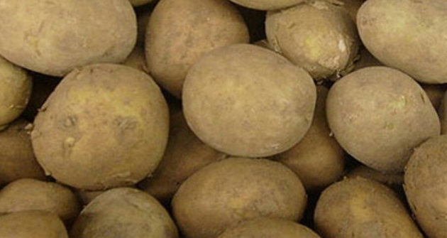 Ярославская область в 2015 году собрала рекордный урожай картофеля