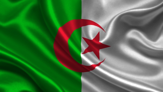 Алжирская армия отбила у террористов шесть зенитных комплексов