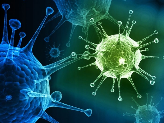Выявлен новый вирус, способный вызвать эпидемию пневмонии