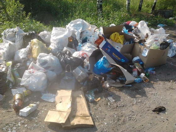 В Ярославской области появится единый оператор по обращению с мусором