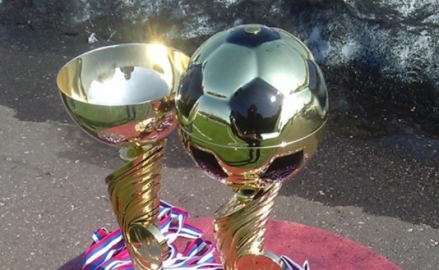 Депутат: действия мэрии Ярославля в отношении «Шинника» похожи на захват