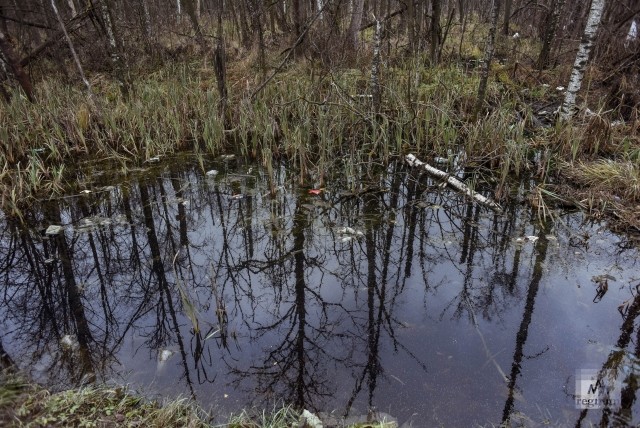 Вода рядом с полигоном ТБО