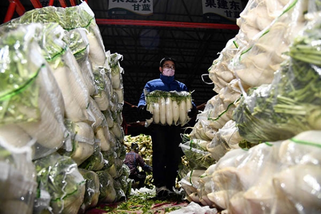 Китайские фермеры доставляют овощи в логистический парк в Шоугуане