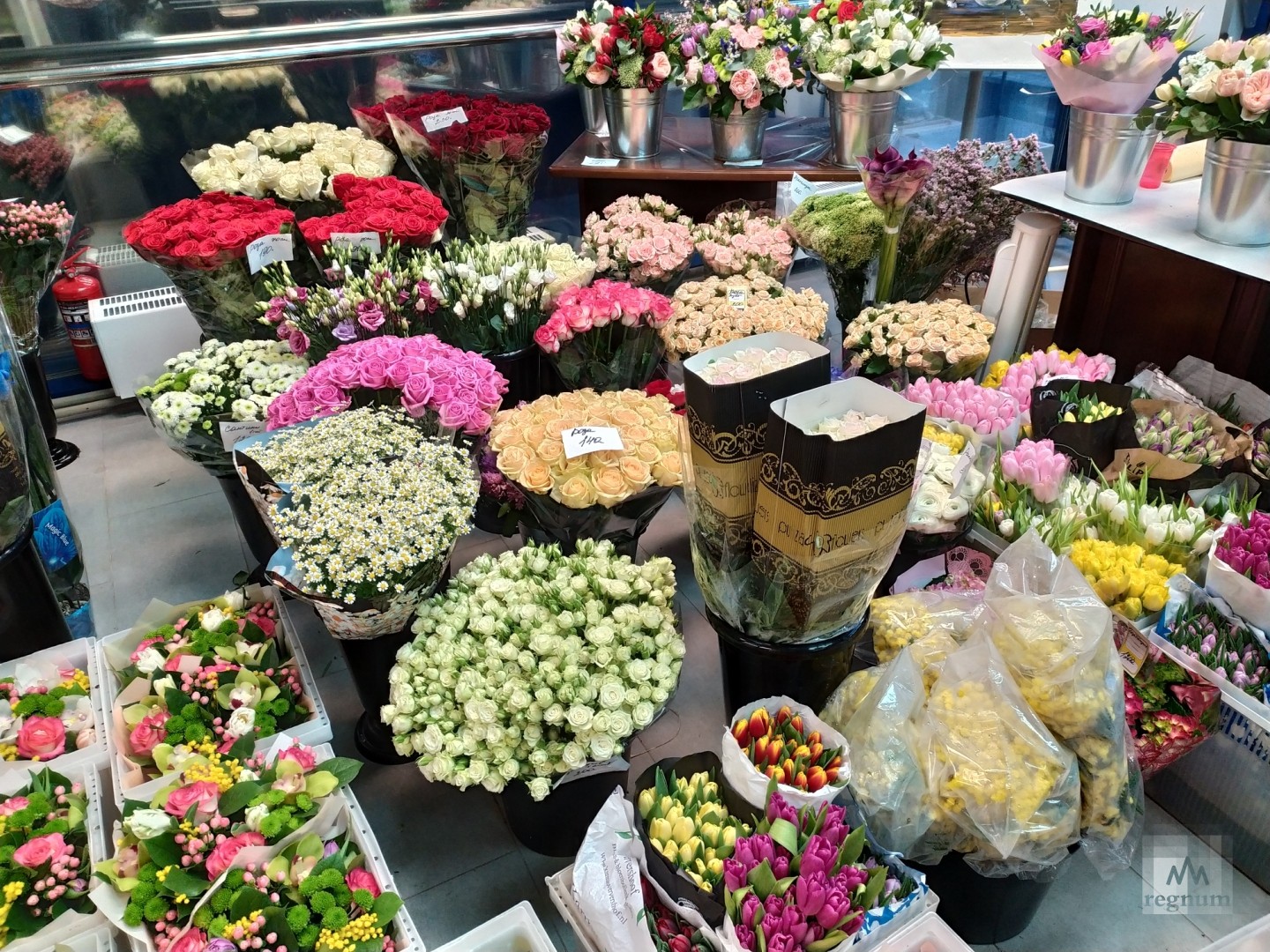 Где В Стерлитамаке Можно Купить Цветы
