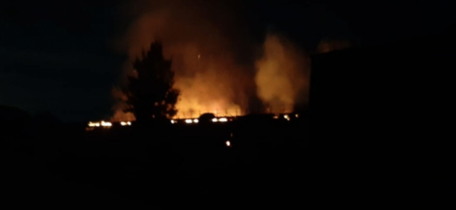 Пожар ночью 7 августа в цеху по производству щепы в Истре 