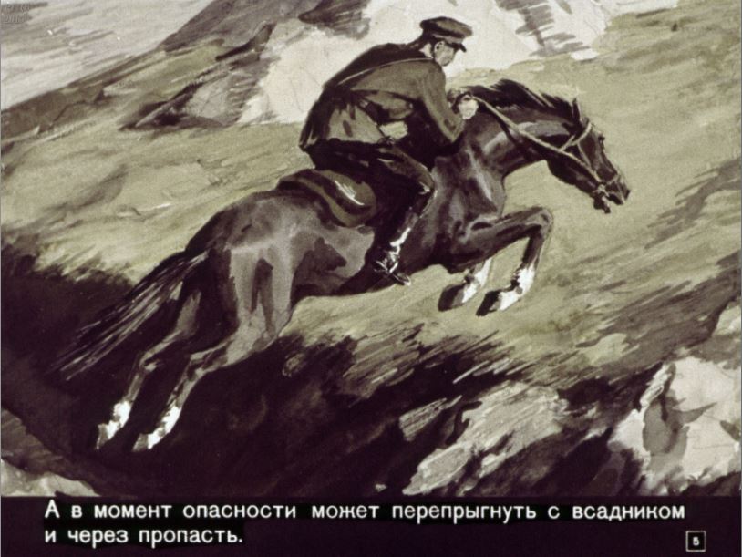 Наши помощники / Г. Снегирев; Худож. Эйгес А.- Москва : Диафильм, 1967.- 1 дф. (43 кд.)
