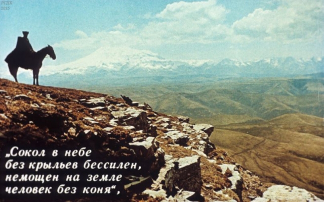 Серые, гнедые, вороные / В. Рындин.- Москва : Диафильм, 1986.- 1 дф. (46 кд.)