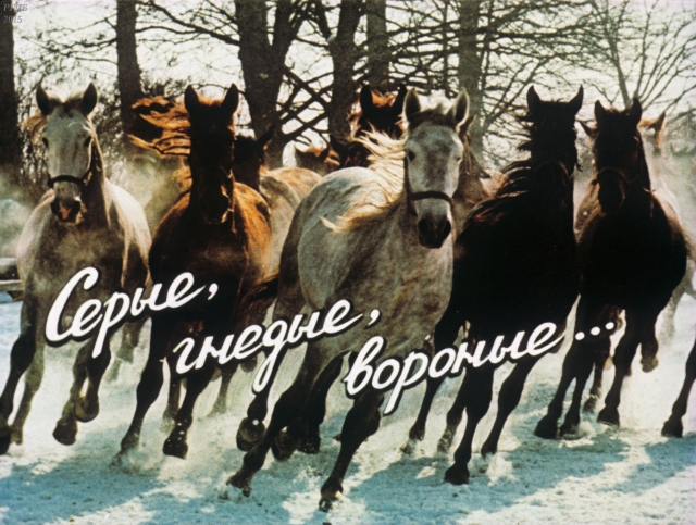 Серые, гнедые, вороные / В. Рындин.- Москва : Диафильм, 1986.- 1 дф. (46 кд.)