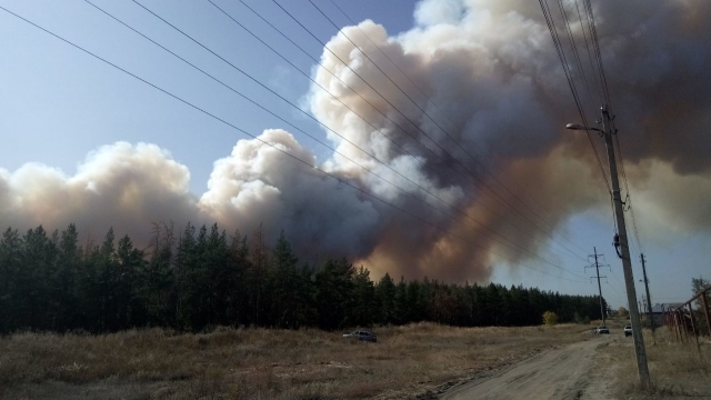 Природный пожар. Воронежская область 