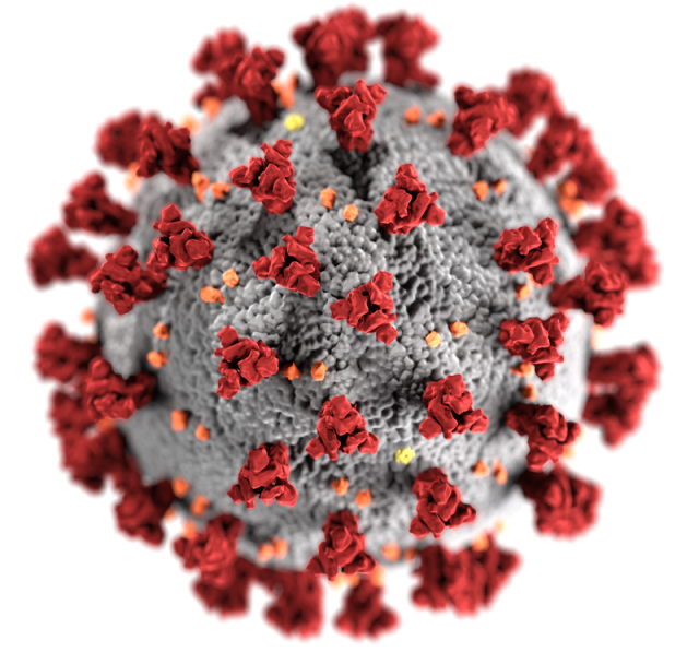 Модель коронавируса