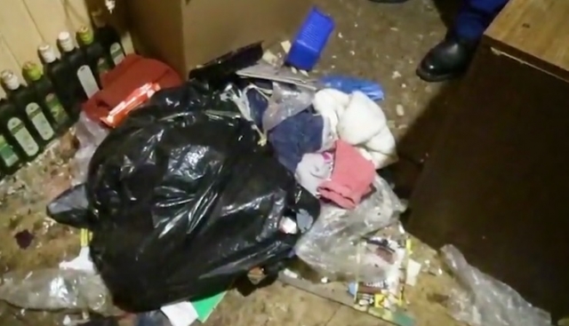 Цитата из видео В таких условиях жила девочка-маугли в Талдоме. mash.ru