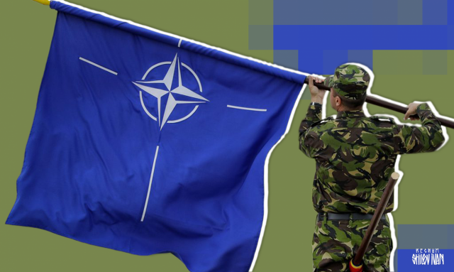 Украине в текущих границах никогда не войти в НАТО – Responsible Statecraft