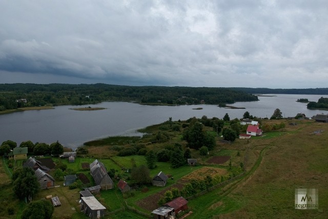 Деревня в Ленинградской области 