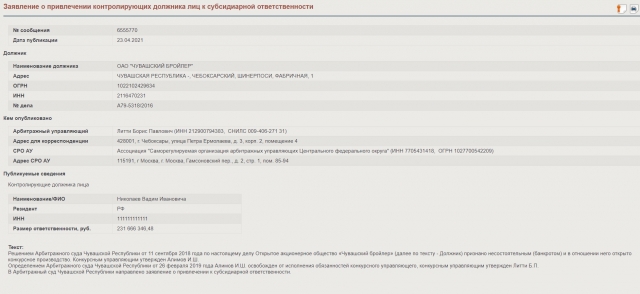 Скриншот заявления о привлечении к субсидиарной ответственности