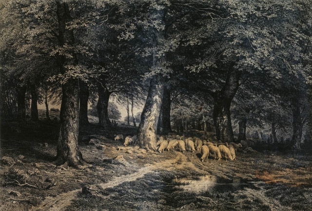 Иван Шишкин. Стадо овец в лесу. 1865
