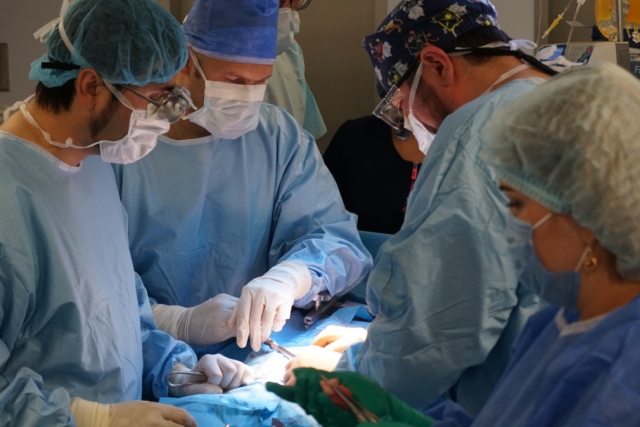 Операция по трансплантации почки 
