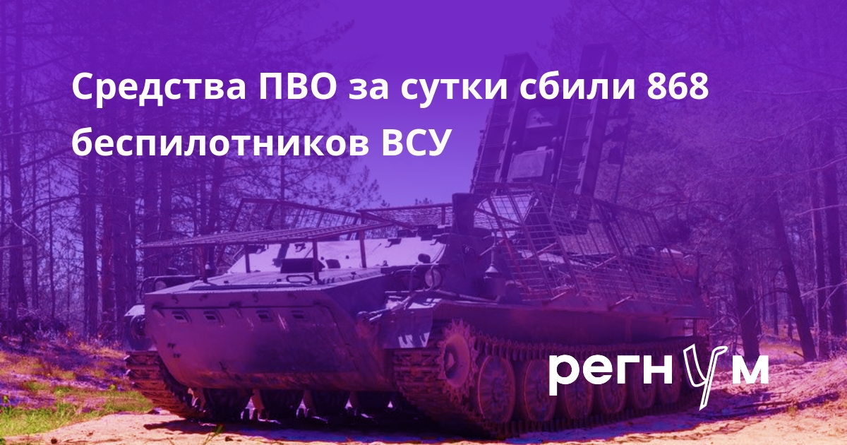 Средства ПВО за сутки сбили 868 беспилотников ВСУ - ИА REGNUM