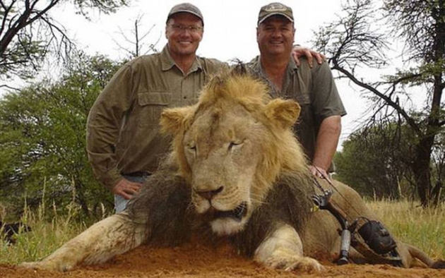 Уолтер Палмер (слева) с убитым львом Сесилом.