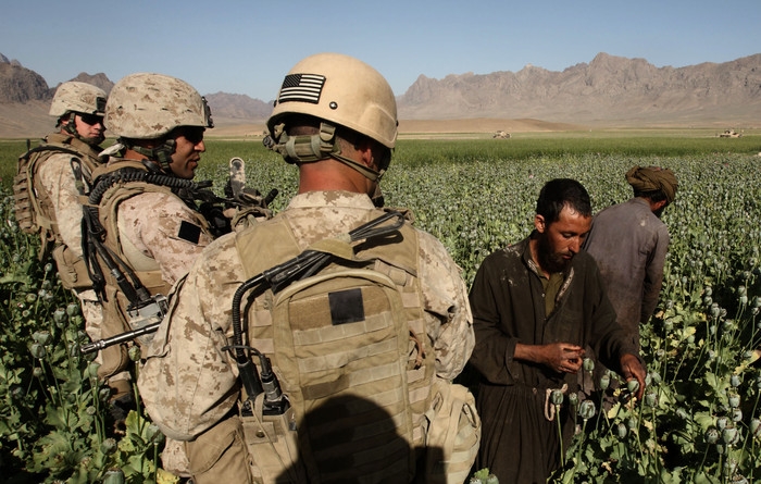 Производство наркотиков в афганистане при американцев марихуана наказание употребление