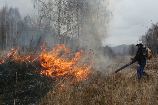 Пожары в Хакасии 