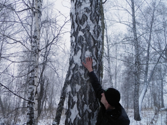 Лесник исследует клеймо на дереве в Тягунском лесничестве 