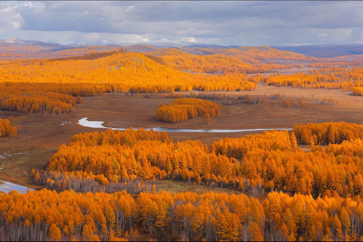 Тайга Забайкальского края осенью