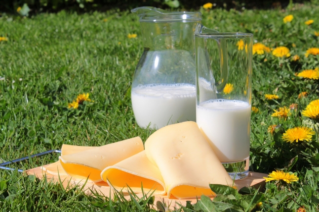 Ткачев: запрета всей молочной продукции из Белоруссии не будет