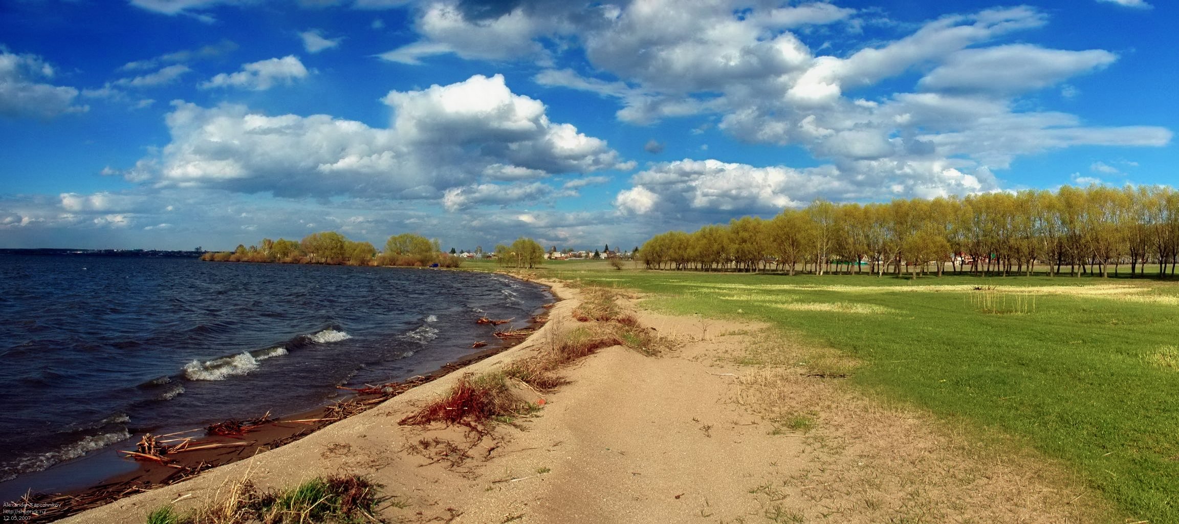 Челябинск шершни фото