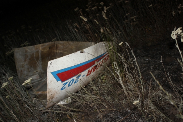 В Оренбуржье потерпел крушение легкомоторный самолет