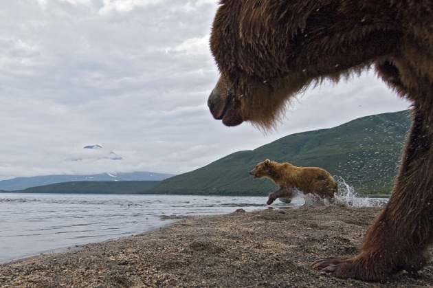 ИА Регнум, фото Сергея Горшкова