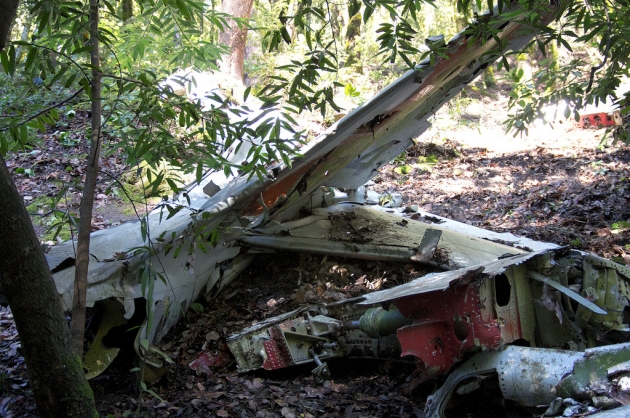 В Словении упал шестиместный самолет