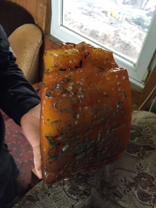 В Калининградской области найден уникальный янтарный самородок весом 2,7 кг