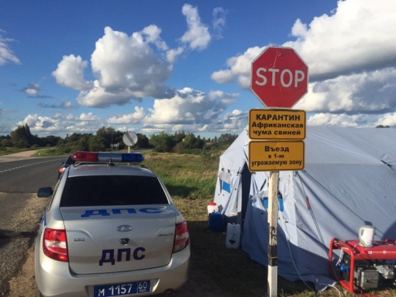 Семь карантинных постов установлены в зоне вспышки АЧС в Псковской области