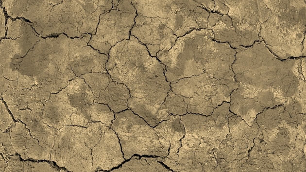 В Удмуртии в связи с засухой вводится режим ЧС