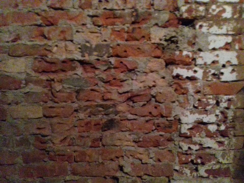 regnum_picture_147282315997718_normal.jp