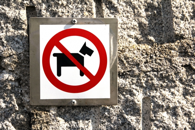 Законопроект о штрафах за «загрязнение территории собакой» внесен в Госдуму