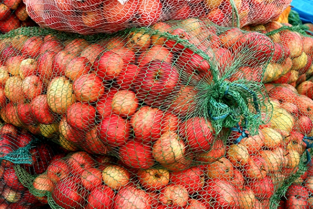 60 тонн местных яблок поступают в торговые сети Калининградской области