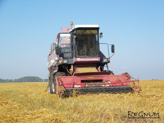 Урожай зерна в Алтайском крае превысил 4,350 млн тонн